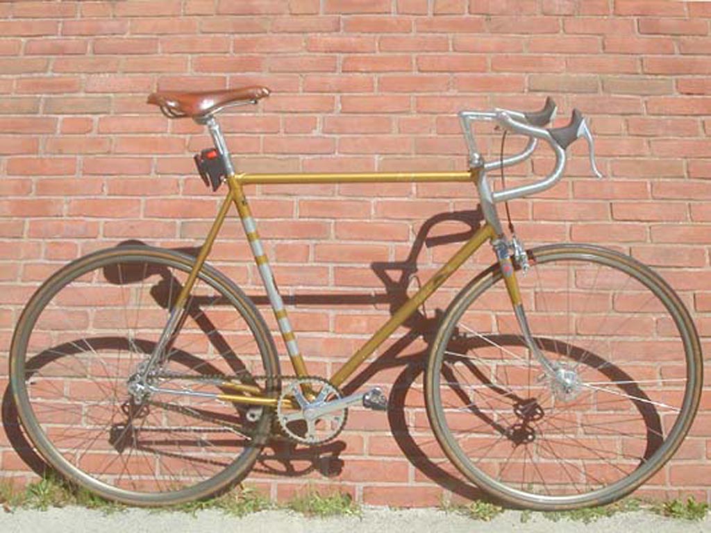 raleigh-baylis01