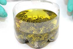 Shelbroconol Pre-soak