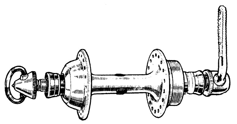 p16 Campy LF hub