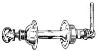 p16 Campy LF hub