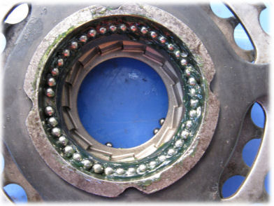 Back of freewheel showing bearing race and ratchet