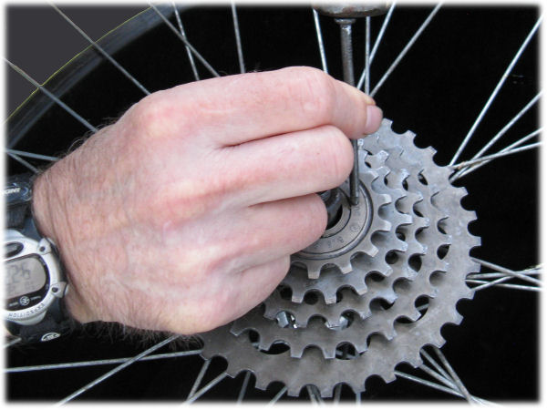 Removing bearing race