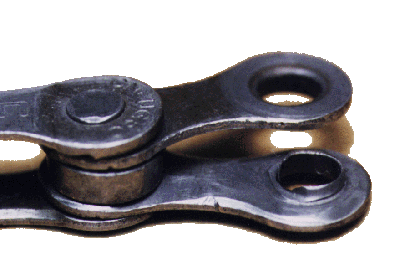 Worn Chain Bush