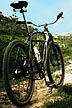 bicycle photo