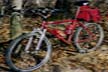 bicycle photo
