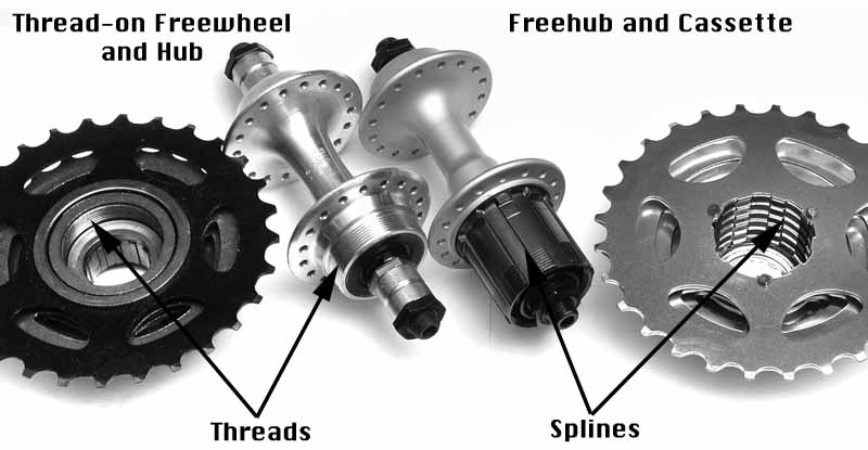 bicycle freewheel sizes