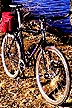 bicycle photo