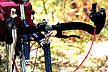 bicycle photo