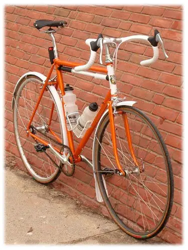 Sheldon's Rambouillet bicycle with fenders