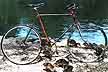 bicycle photo