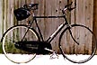 Sheldon's 1950s Raleigh Sports