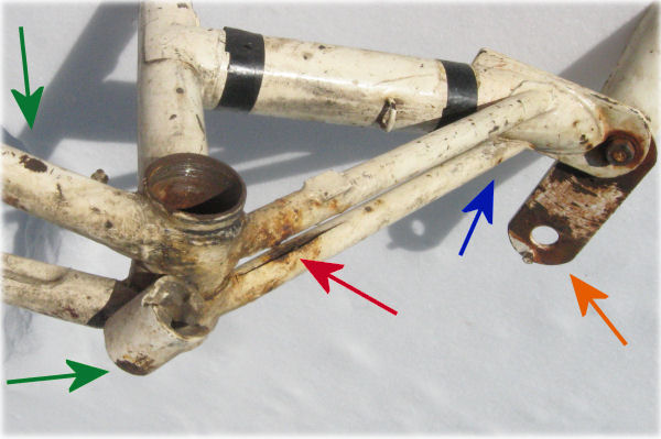 Raleigh Twenty rusted
