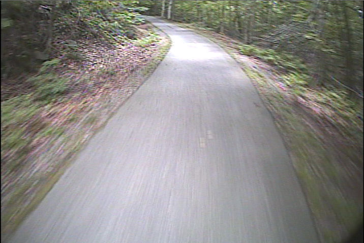 Deinterlaced video image