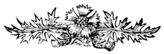 Decoration