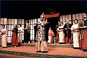 Mikado image