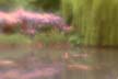 Monet