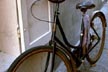 velo-dame