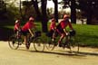 Raleigh kidbacks