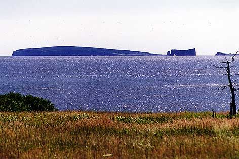 The Rock of Percé