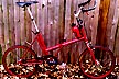 folding Raleigh 20