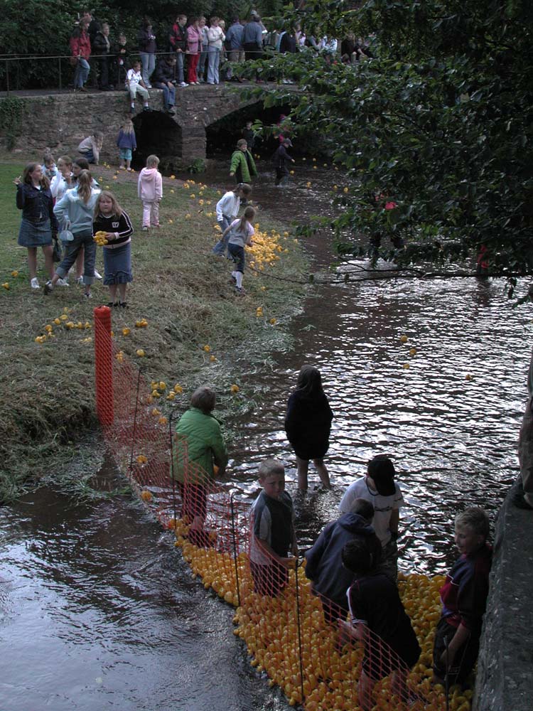 duck-race09