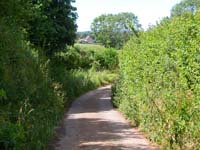 cannington-fiddington14