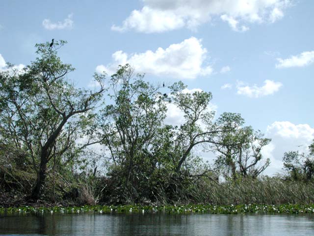 everglades-03