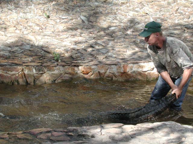 everglades-12