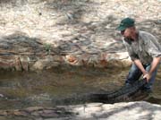 everglades-12