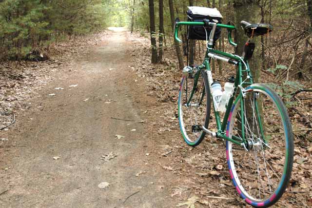 Quickbeam on the Trail
