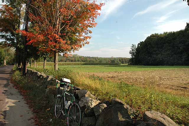 Quickbeam on Sandy Pond Road