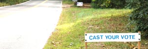Cast your vote