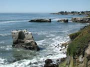 11santacruzbeach44