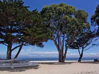 monterey01