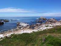 monterey04