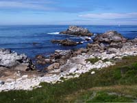 monterey05
