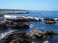 monterey08