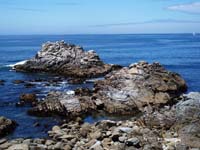 monterey09