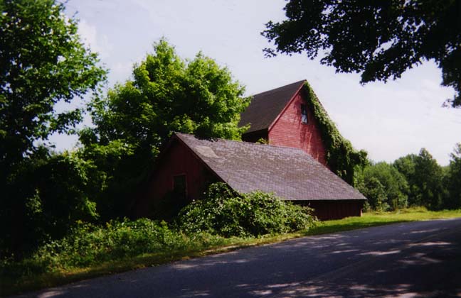 Ivy Barn