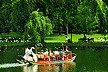 Swan boat