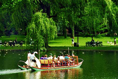 Swanboat
