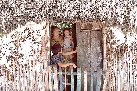 Typical house in the jungle, at Coba