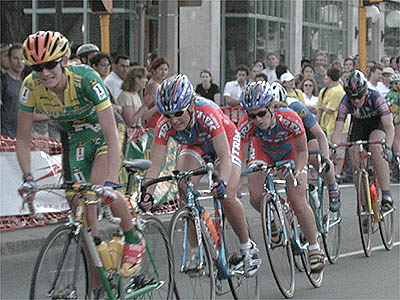 Sheldon Brown photo