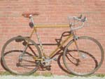 raleigh-baylis