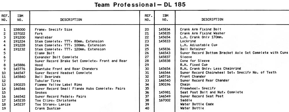 21-team-professional