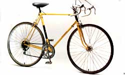 Raleigh Record