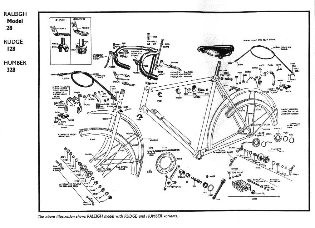 r-lenton-sports-diagram