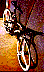 joshpell/2joshsbikebirdseyeview.jpg