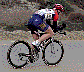 Zipp.jpg